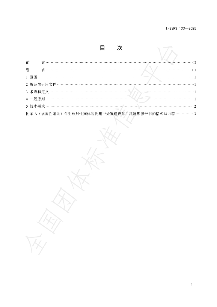T/BSRS 133-2025 标准预览
