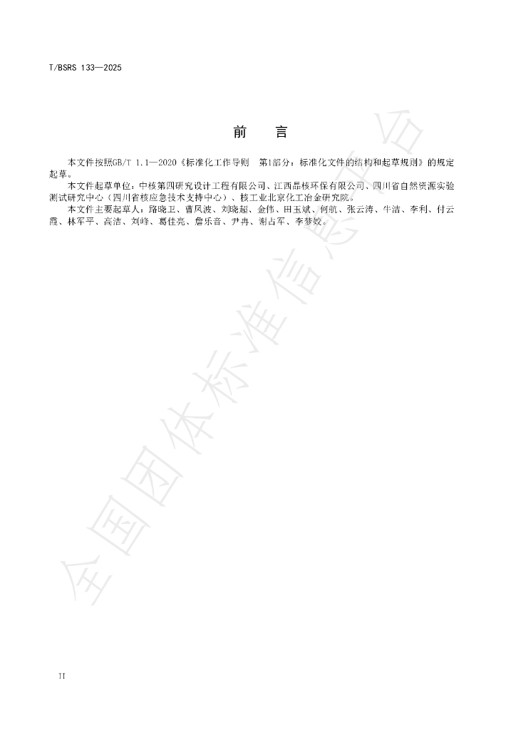 T/BSRS 133-2025 标准预览