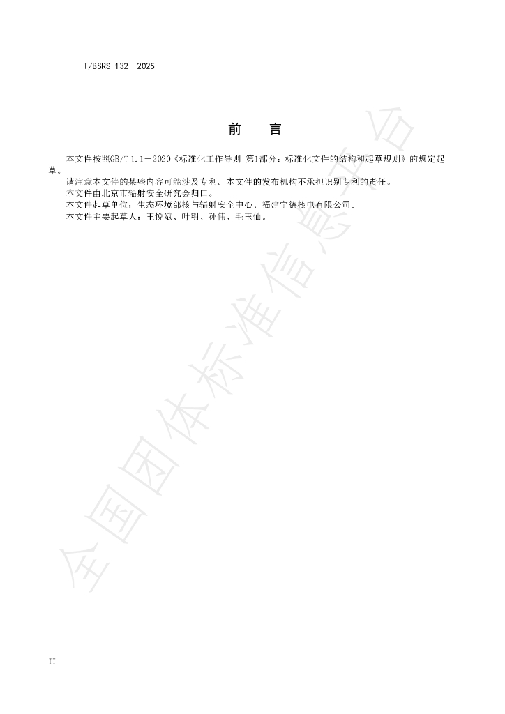 T/BSRS 132-2025 标准预览