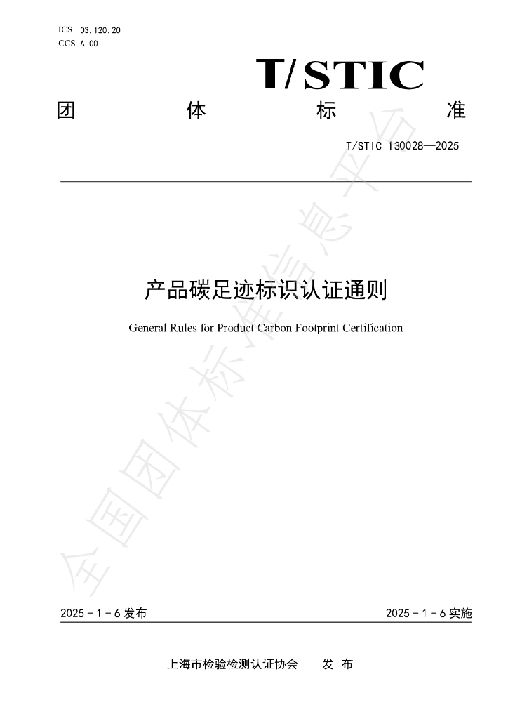 T/STIC 130028-2025 标准预览