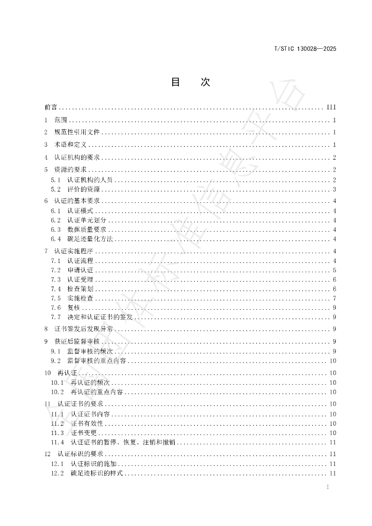 T/STIC 130028-2025 标准预览