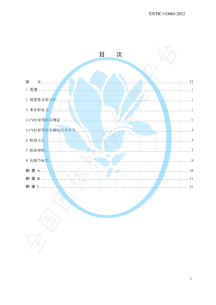 T/STIC 110080-2022 标准预览