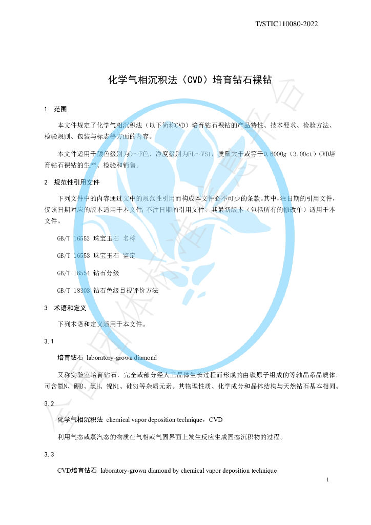 T/STIC 110080-2022 标准预览
