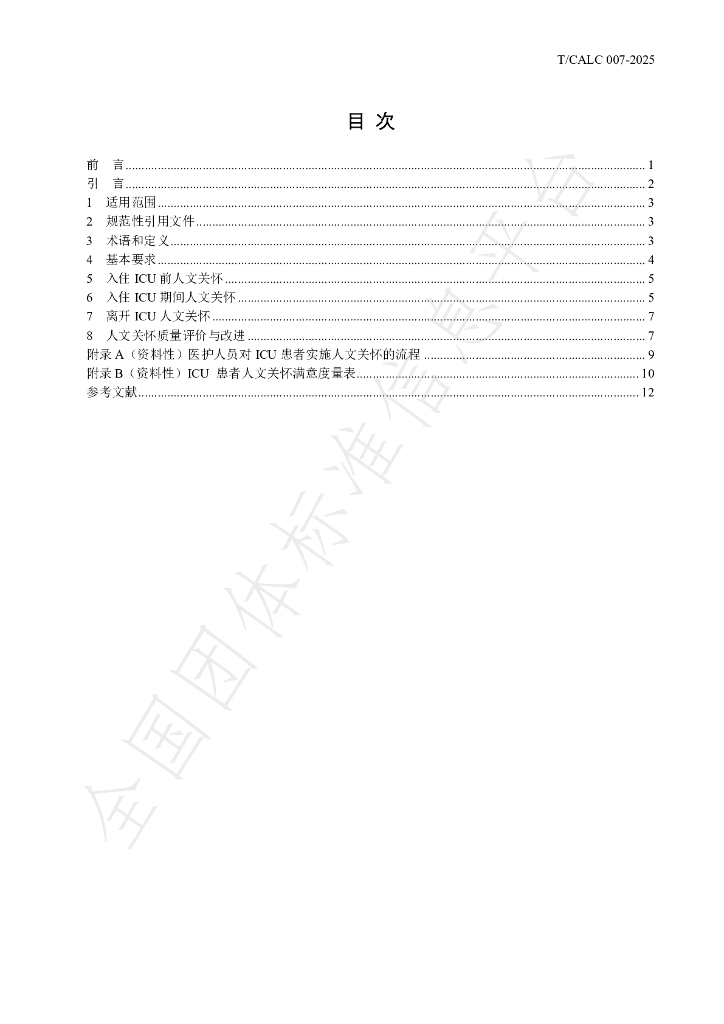T/CALC 07-2025 标准预览