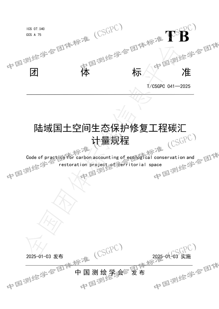 T/CSGPC 041-2025 标准预览