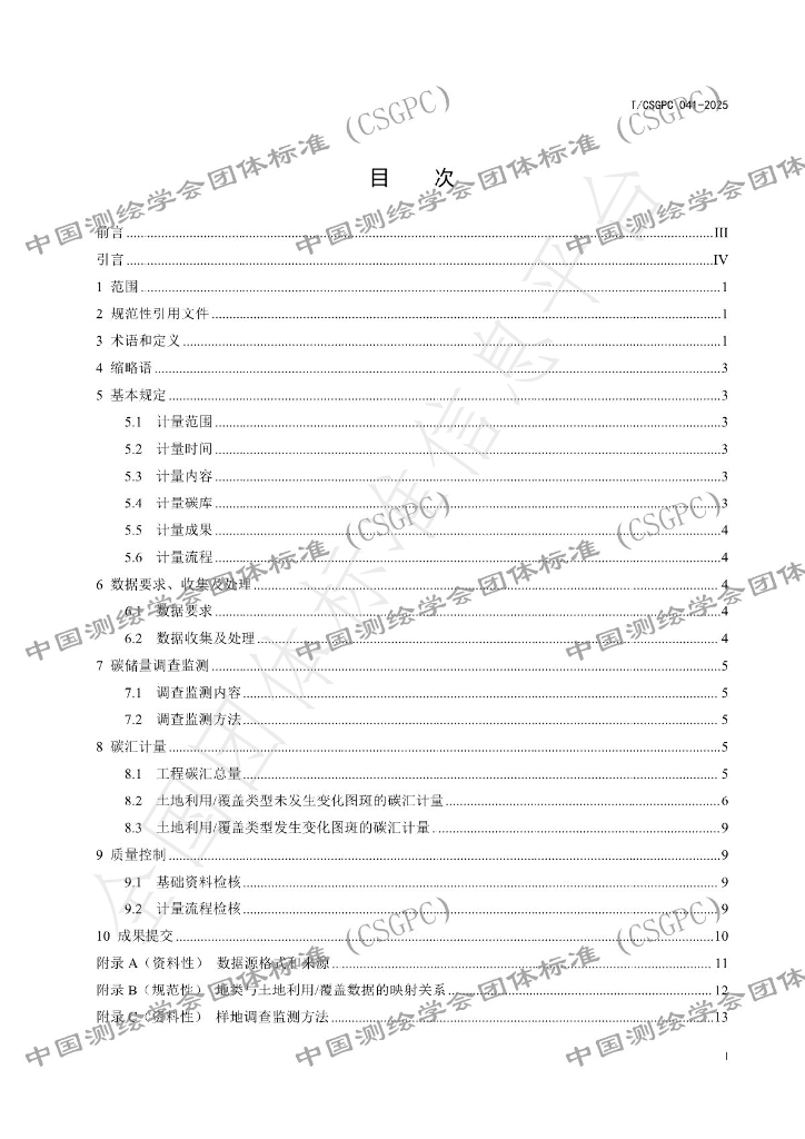 T/CSGPC 041-2025 标准预览