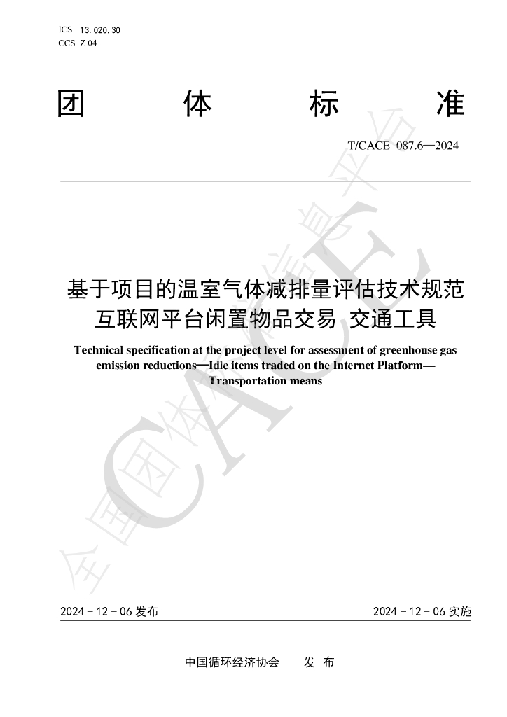 T/CACE 087.6-2024 标准预览