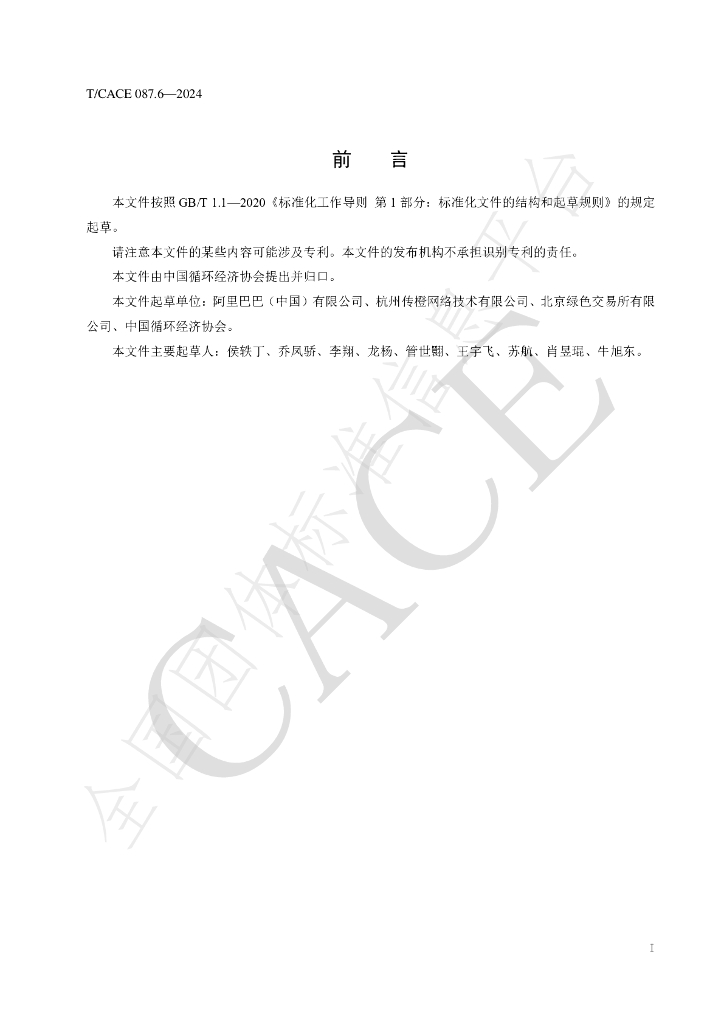 T/CACE 087.6-2024 标准预览