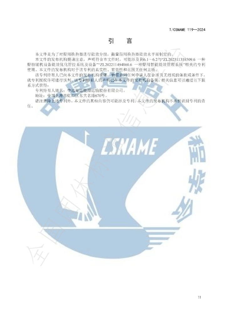 T/CSNAME 119-2024 标准预览