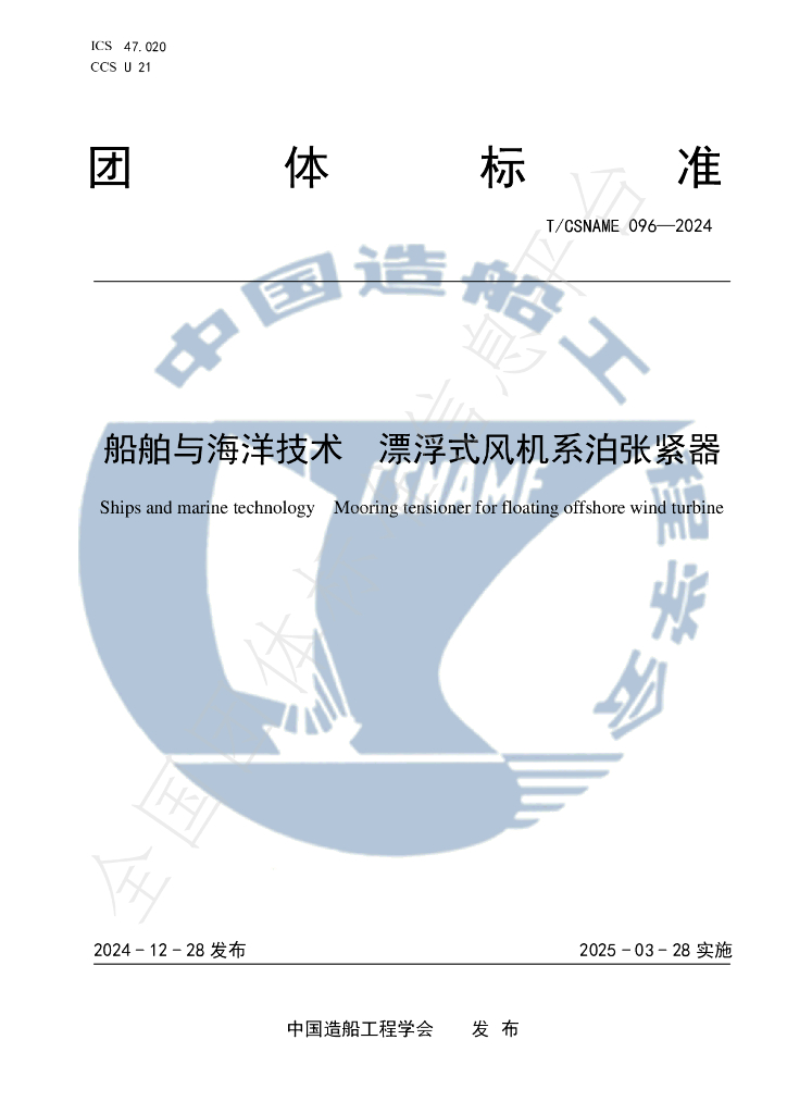 T/CSNAME 096-2024 标准预览