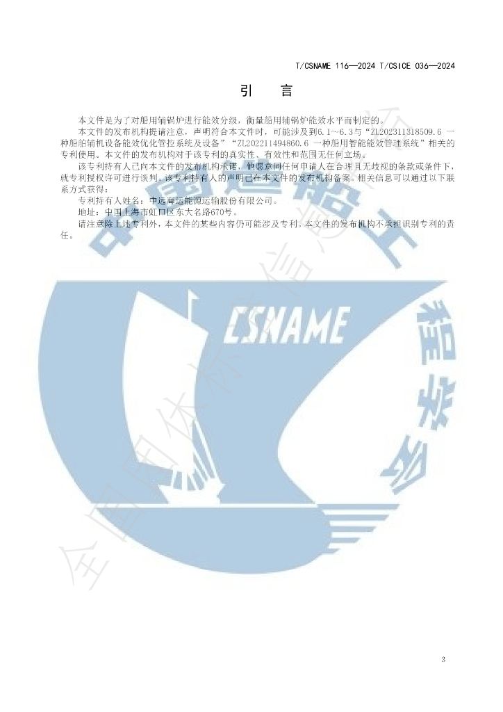 T/CSNAME 116-2024 标准预览