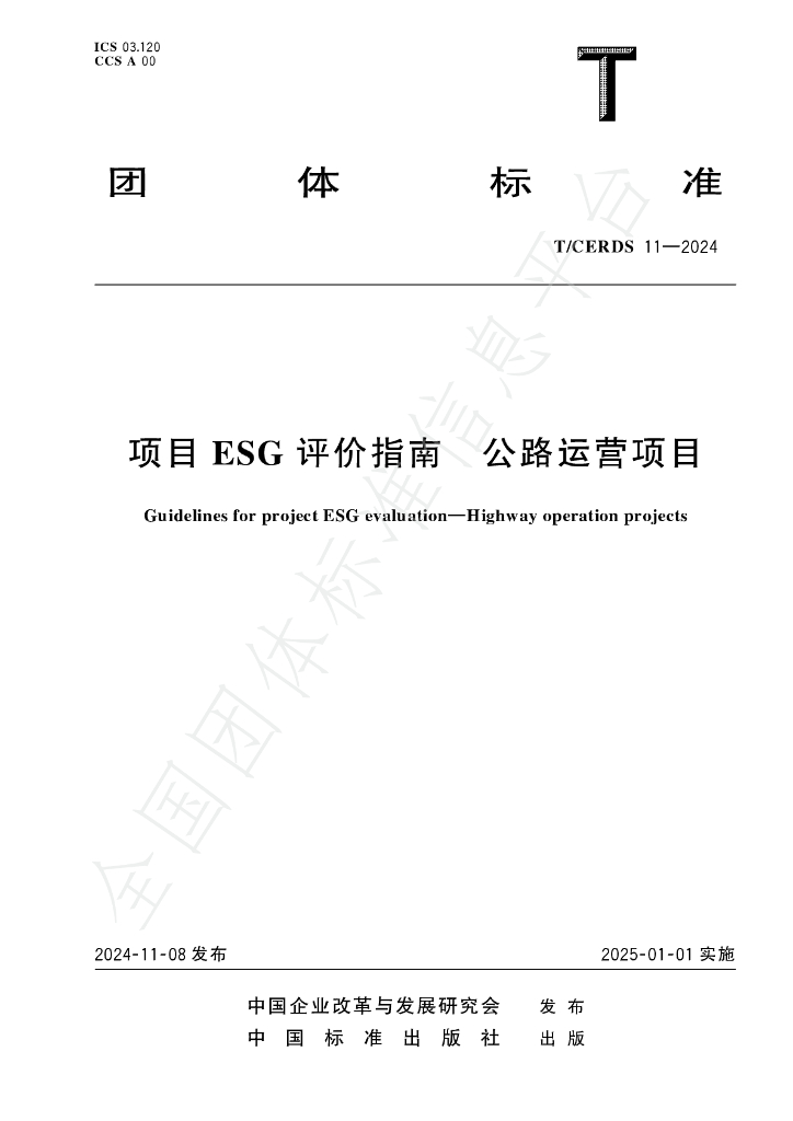 T/CERDS 11-2024 标准预览