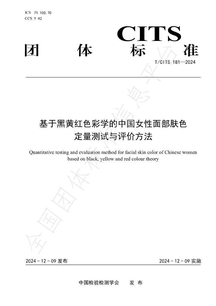 T/CITS 181-2024 标准预览