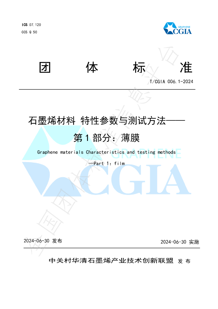 T/CGIA 006.1-2024 标准预览