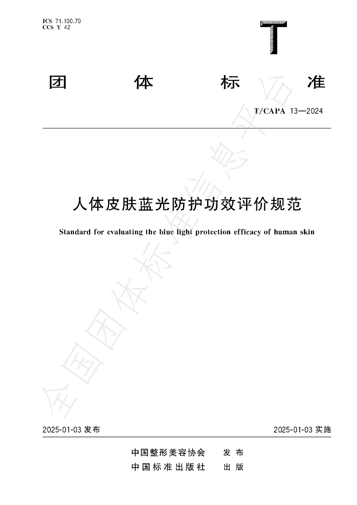 T/CAPA 13-2024 标准预览