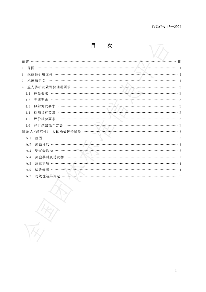 T/CAPA 13-2024 标准预览