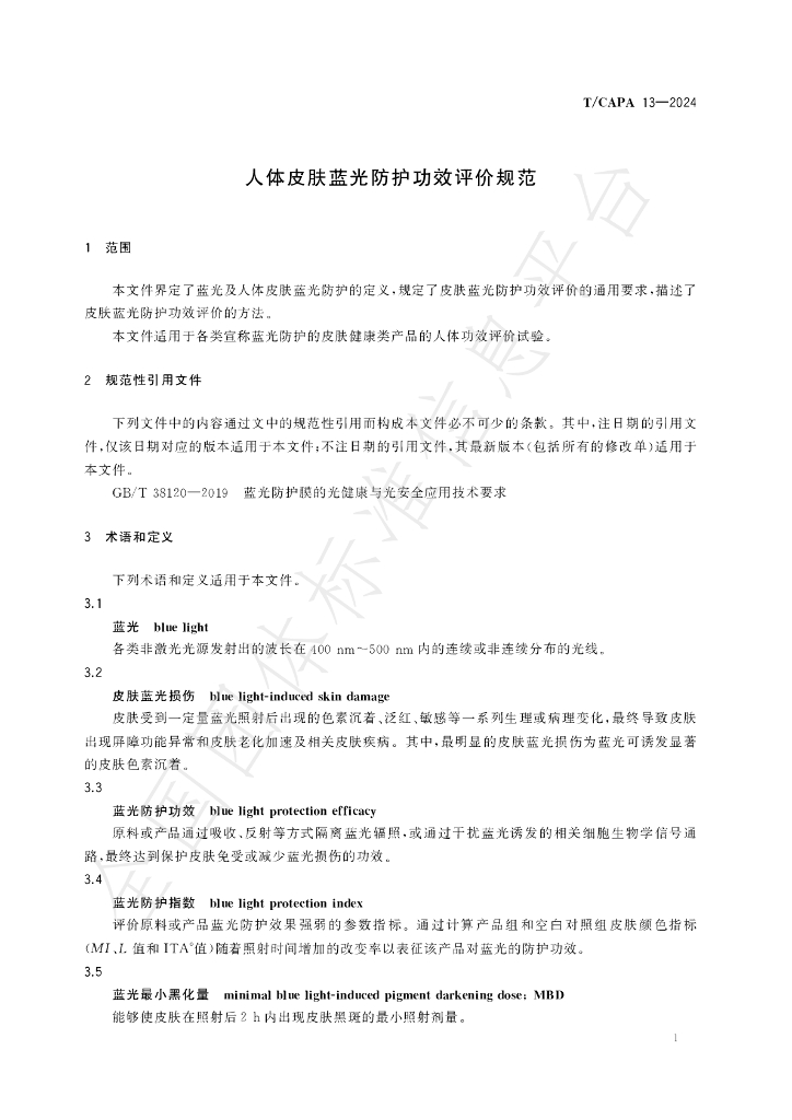 T/CAPA 13-2024 标准预览