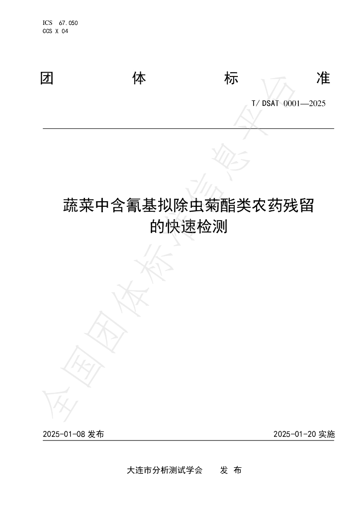 T/DSAT 0001-2025 标准预览