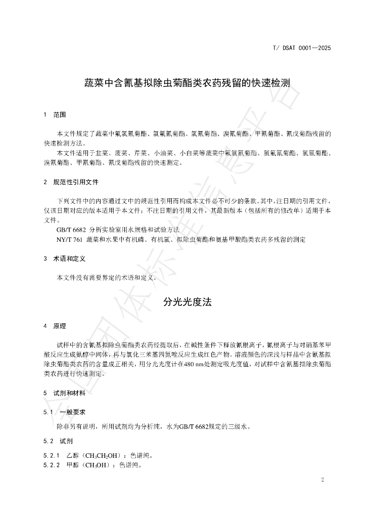 T/DSAT 0001-2025 标准预览