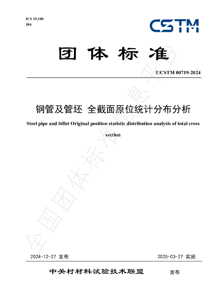 T/CSTM 00719-2024 标准预览