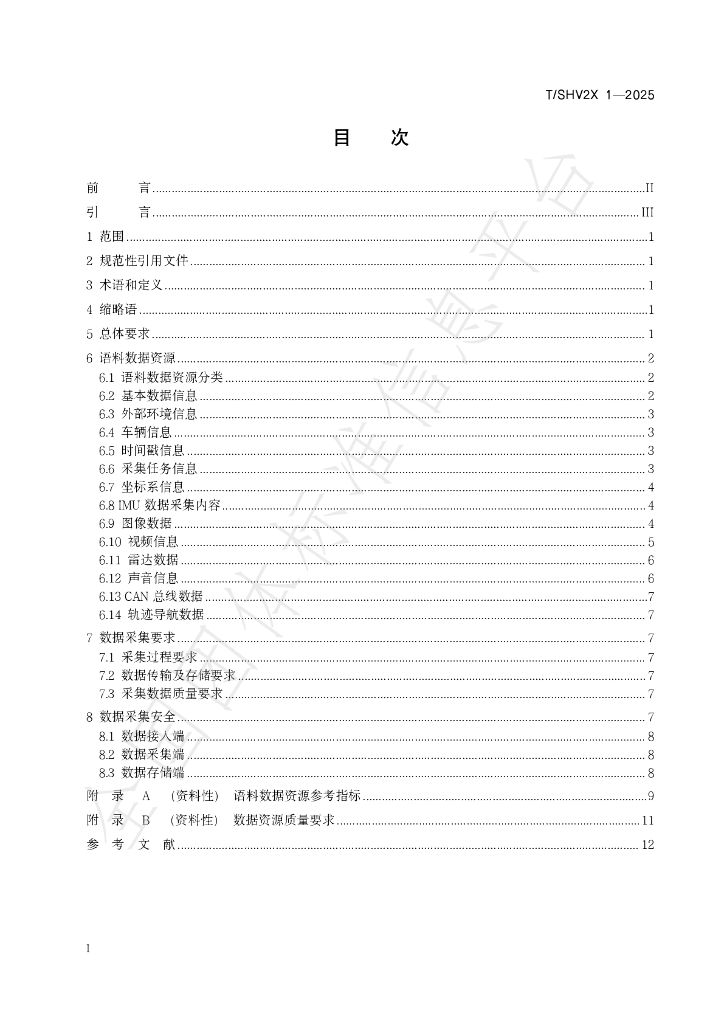 T/SHV2X 1-2025 标准预览