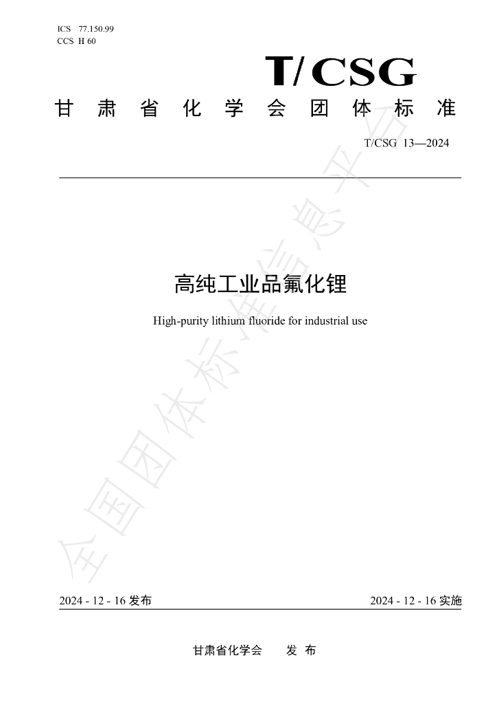 T/CSG 013-2024 标准预览