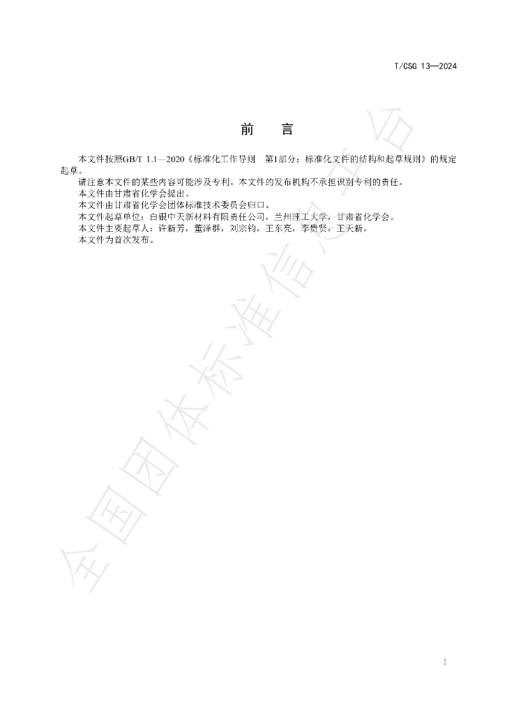 T/CSG 013-2024 标准预览