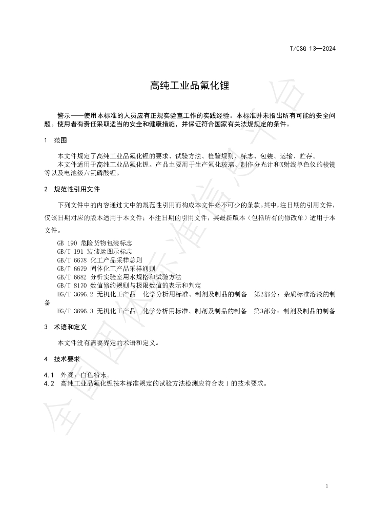 T/CSG 013-2024 标准预览
