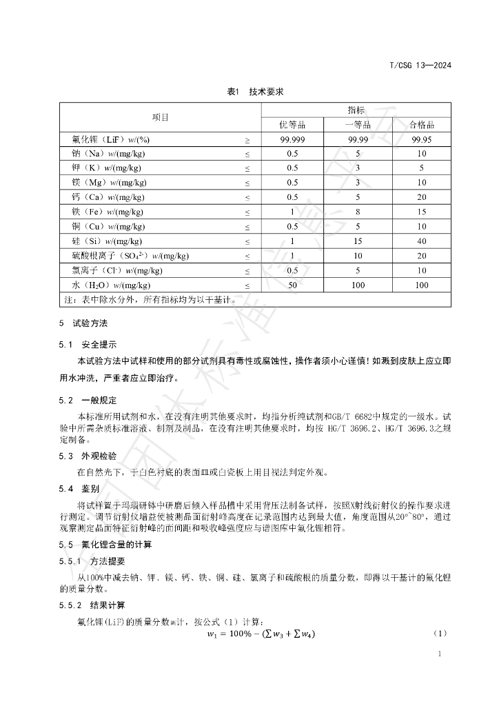 T/CSG 013-2024 标准预览