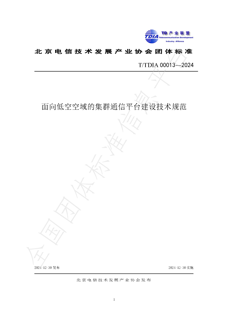 T/TDIA 00013-2024 标准预览