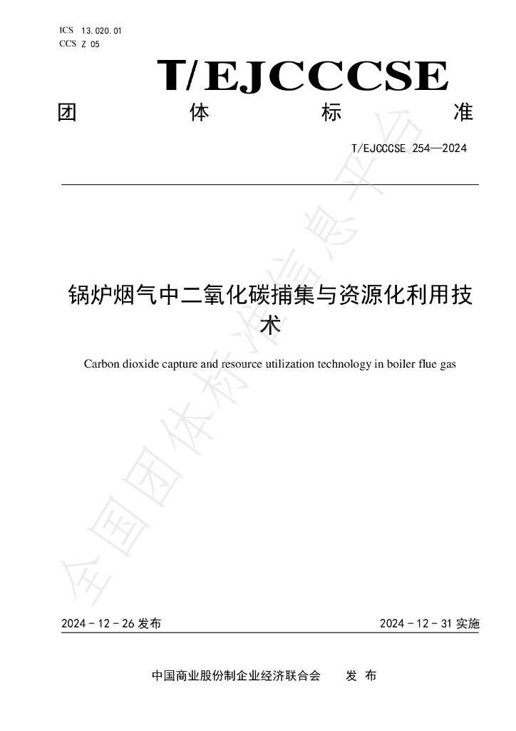T/EJCCCSE 254-2024 标准预览