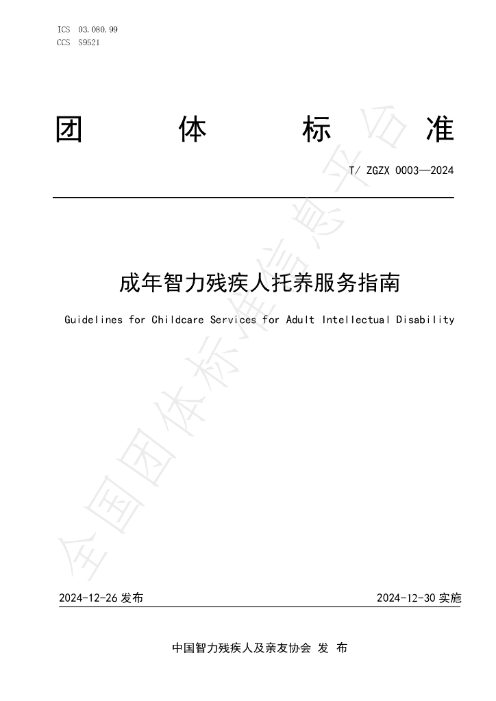 T/ZGZX 0003-2024 标准预览
