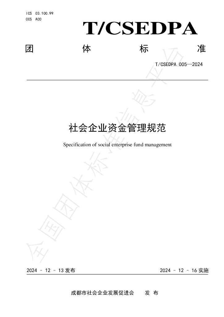 T/CSEDPA 005-2024 标准预览