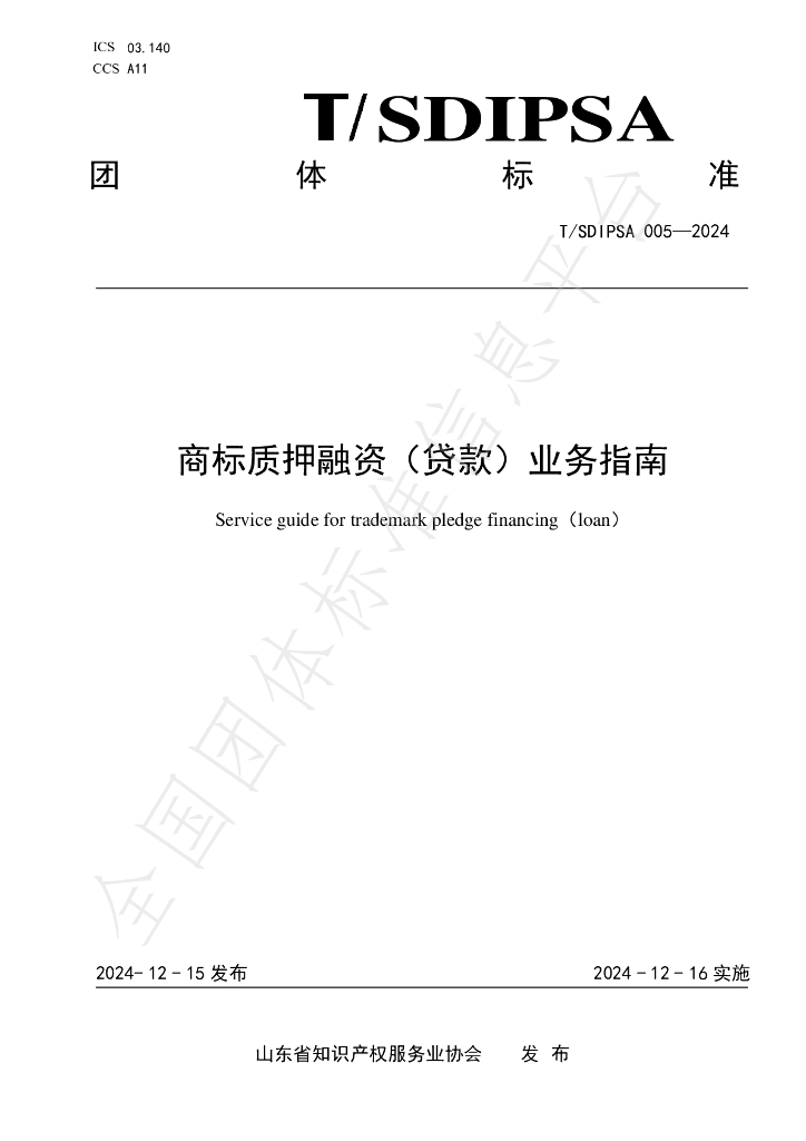 T/SDIPSA 005-2024 标准预览
