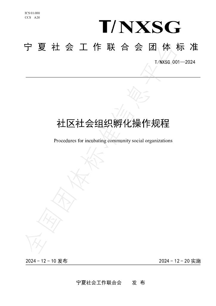 T/NXSG 001-2024 标准预览
