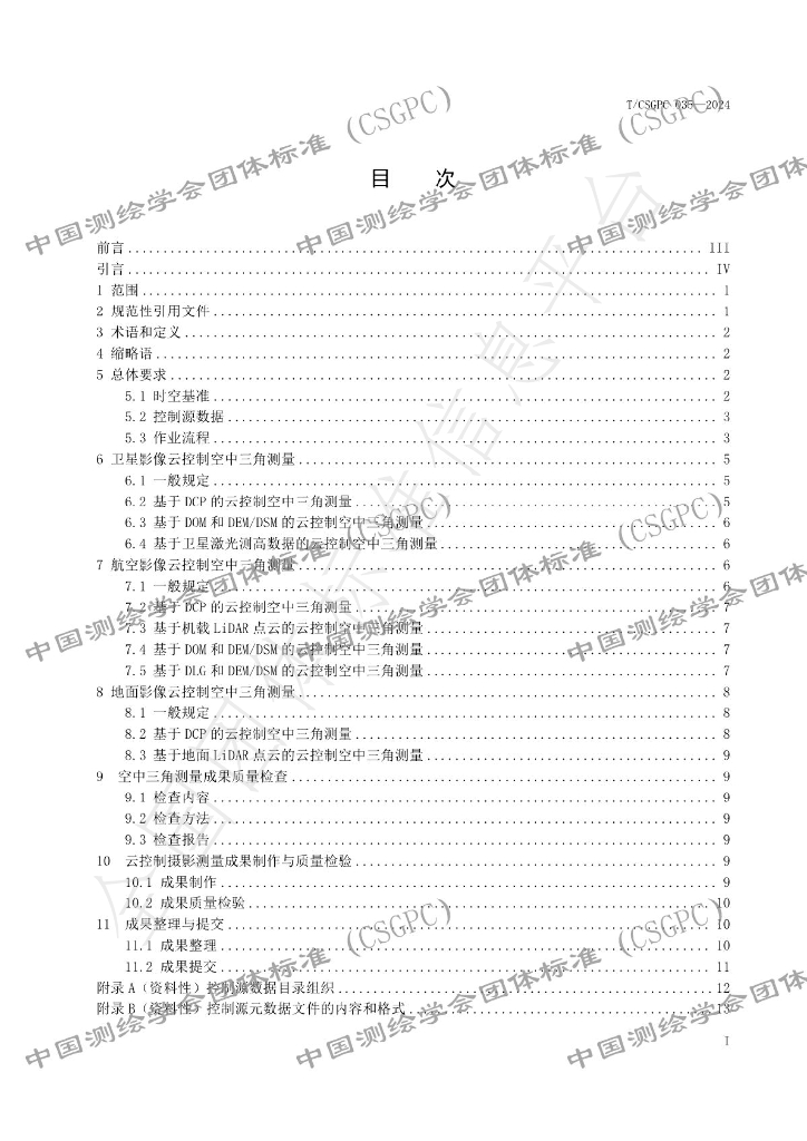 T/CSGPC 035-2024 标准预览