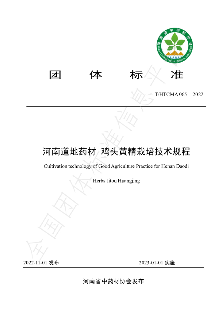 T/HTCMA 065-2022 标准预览