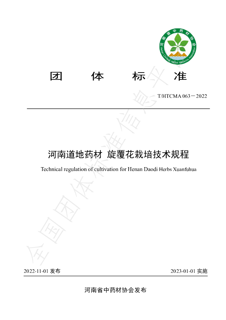 T/HTCMA 063-2022 标准预览