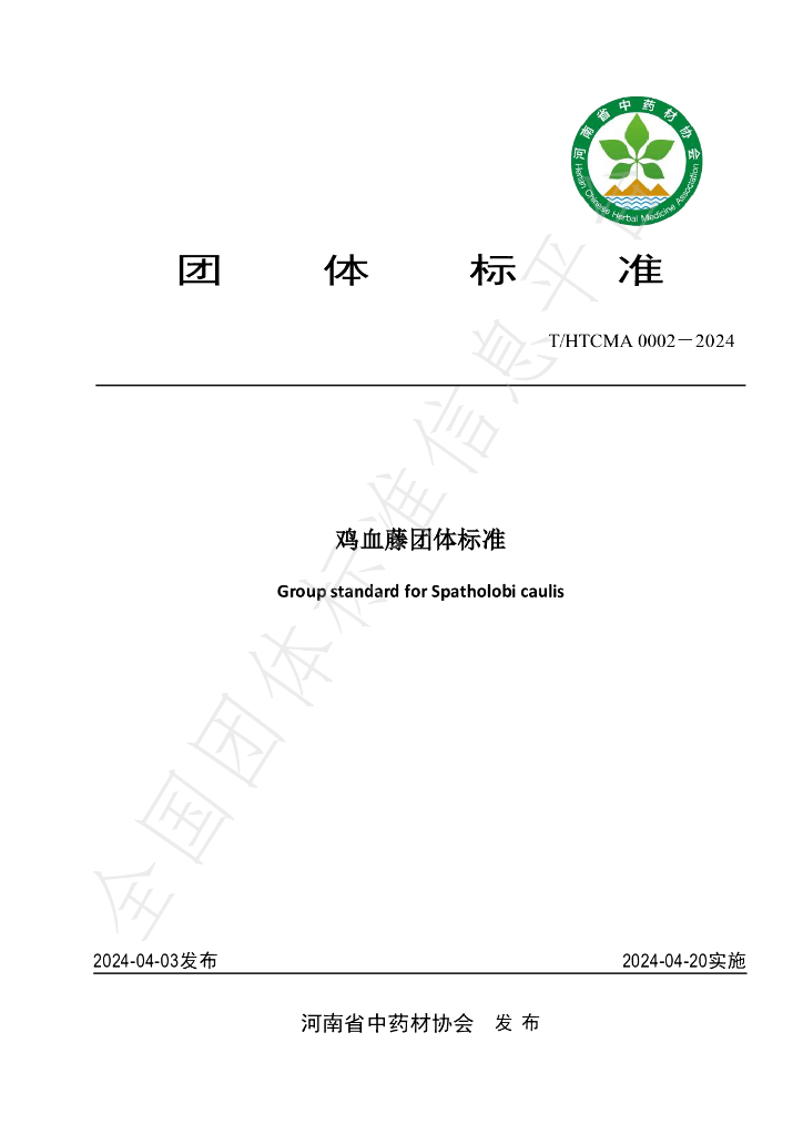 T/HTCMA 0002-2024 标准预览