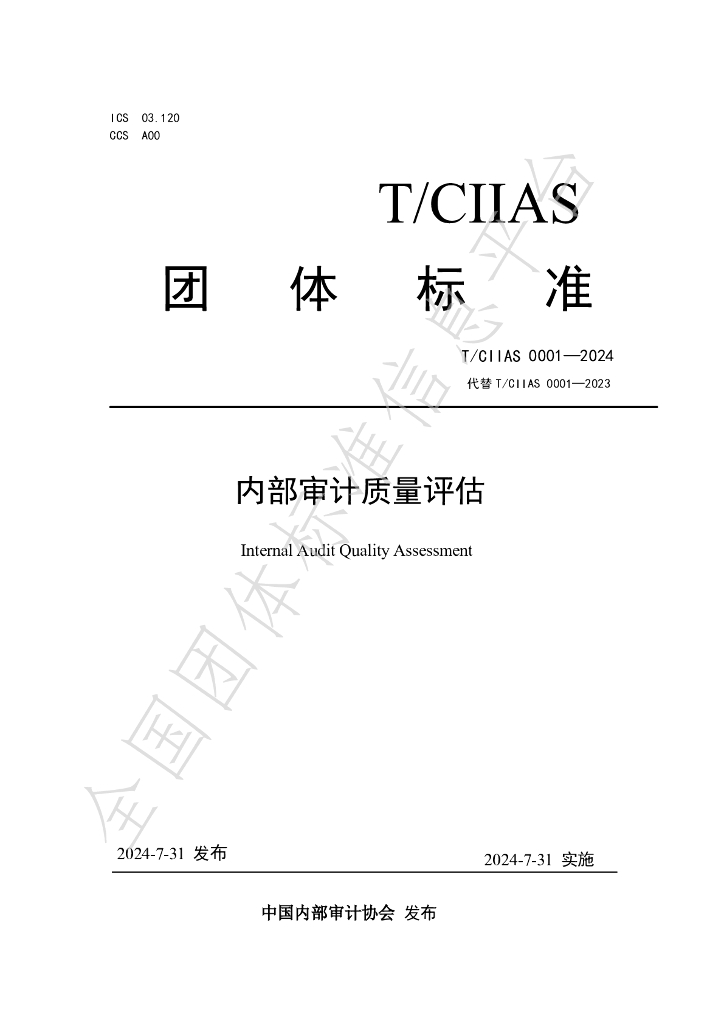 T/CIIAS 0001-2024 标准预览