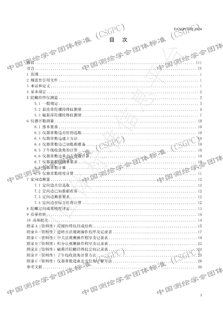 T/CSGPC 032-2024 标准预览
