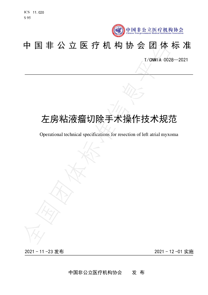 T/CNMIA 0028-2021 标准预览