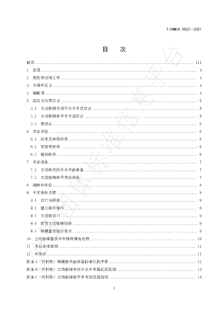 T/CNMIA 0022-2021 标准预览