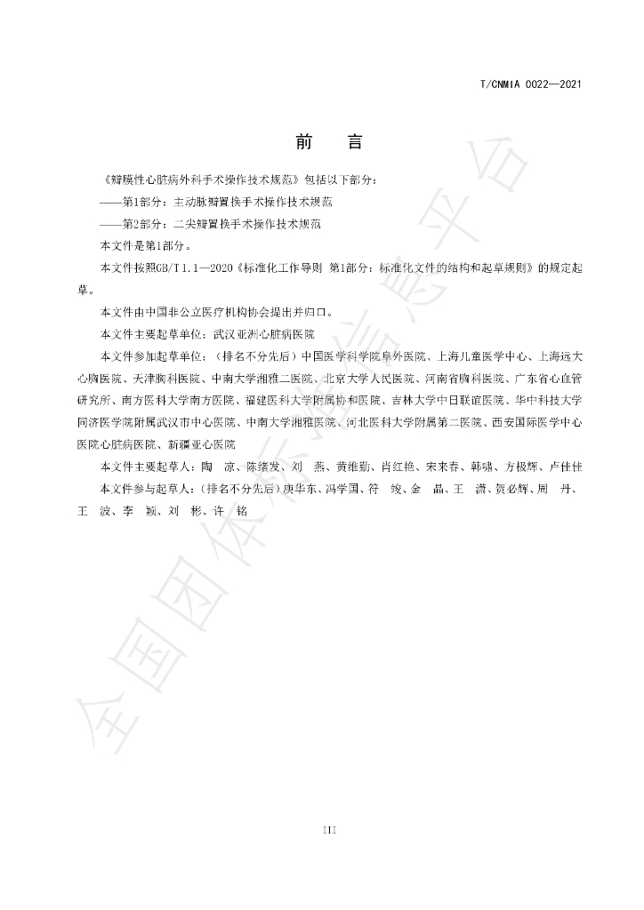 T/CNMIA 0022-2021 标准预览