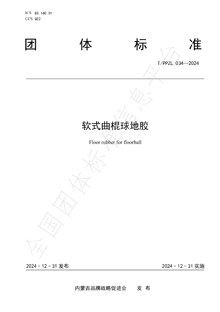 T/PPZL 34-2024 标准预览
