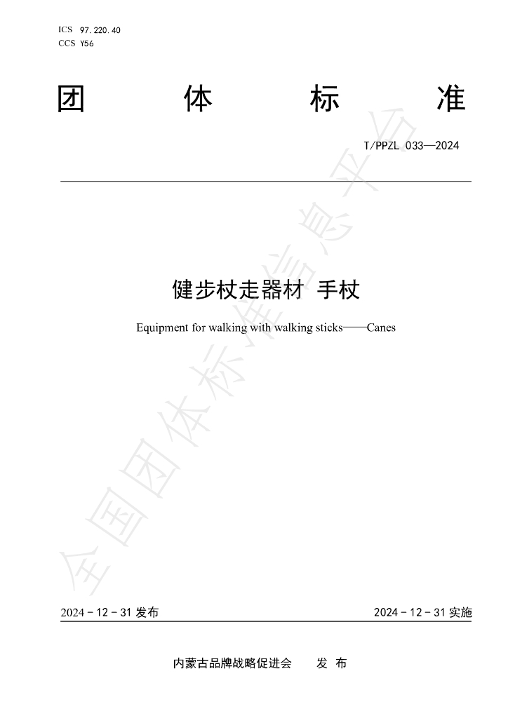 T/PPZL 33-2024 标准预览