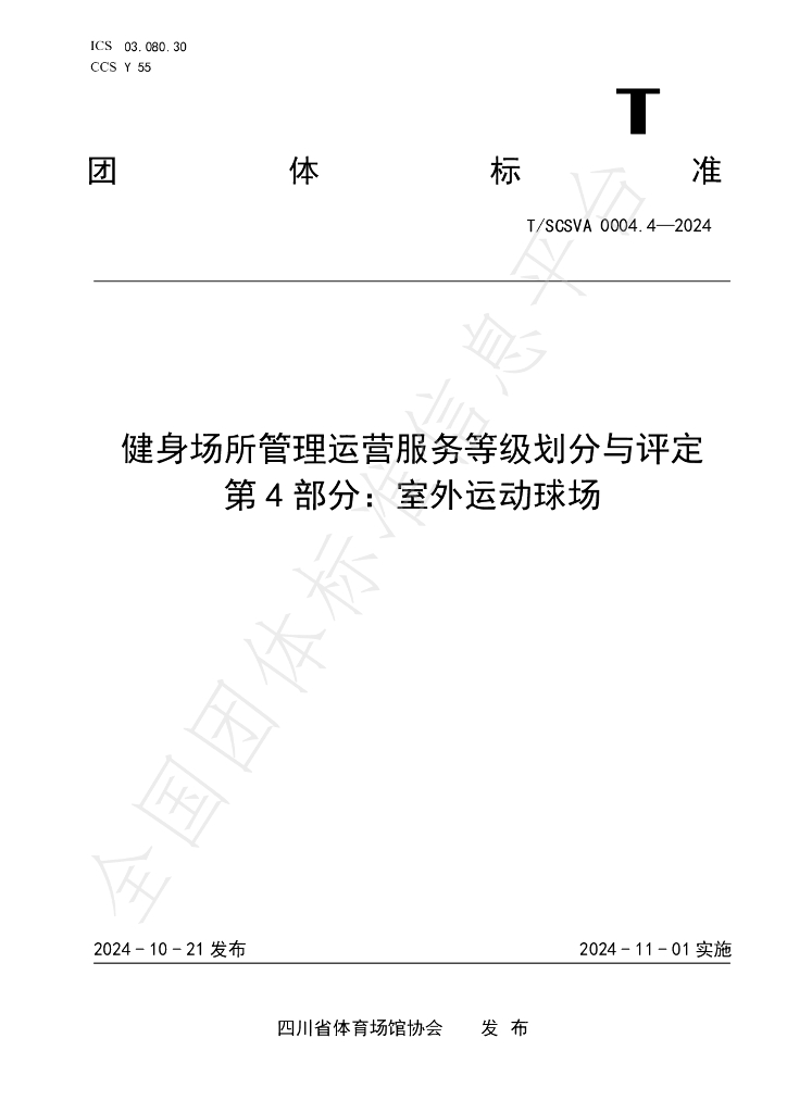 T/SCSVA 0004.4-2024 标准预览
