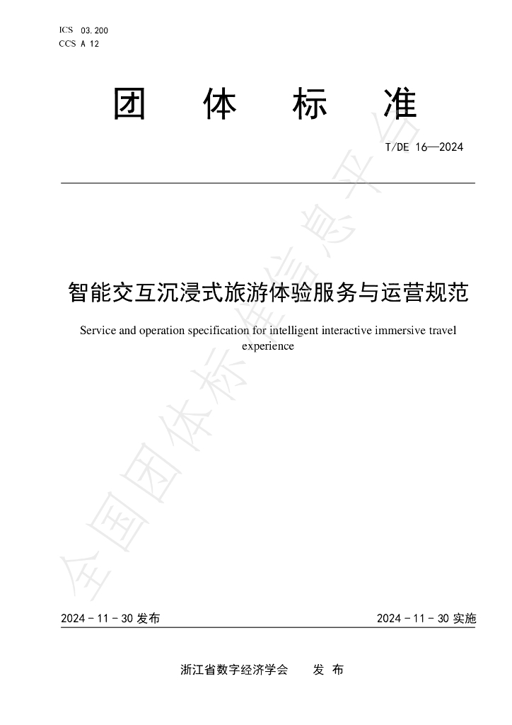 T/DE 16-2024 标准预览