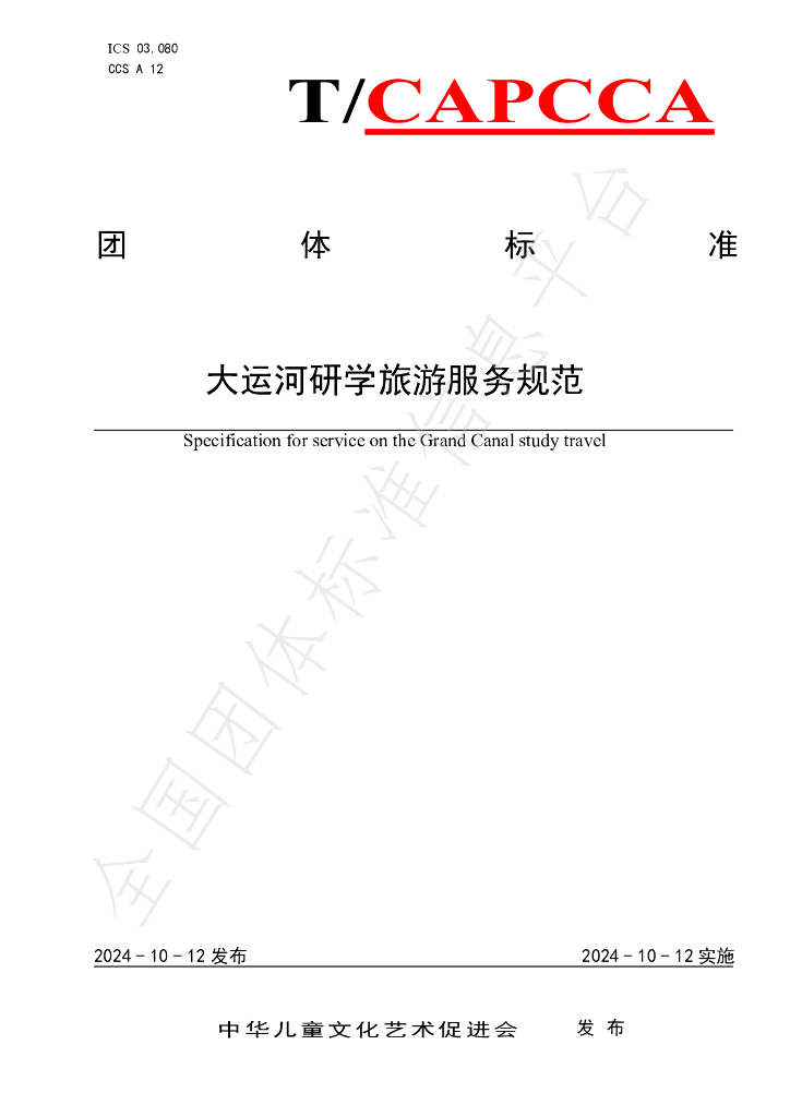 T/CAPCCA 001-2024 标准预览