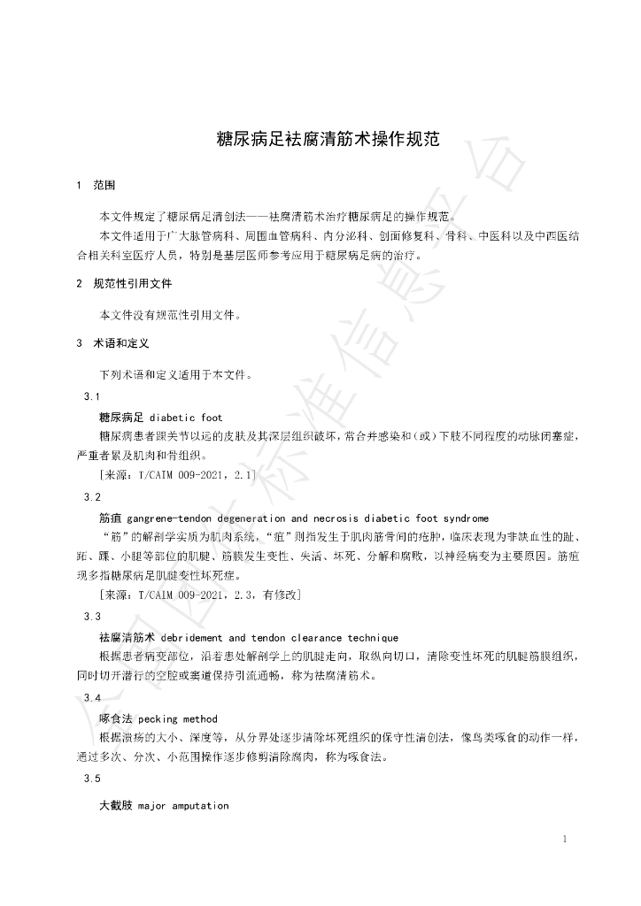 T/SATCM 0006-2025 标准预览